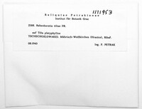 Image Associated With the Occurence